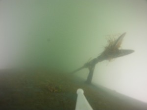 DCIM100GOPRO