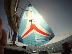 DCIM100GOPRO