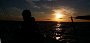couché de soleil Olivier