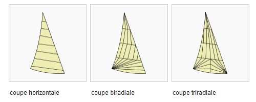 Coupes des voiles