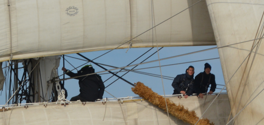 Dans la mature