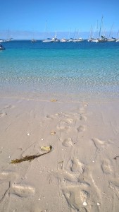 WP_20160715_18_18_06_Pro