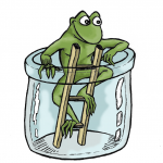 grenouille-color