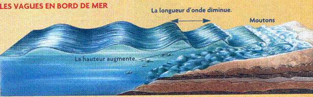 image006