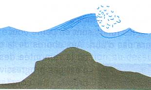 vague-2