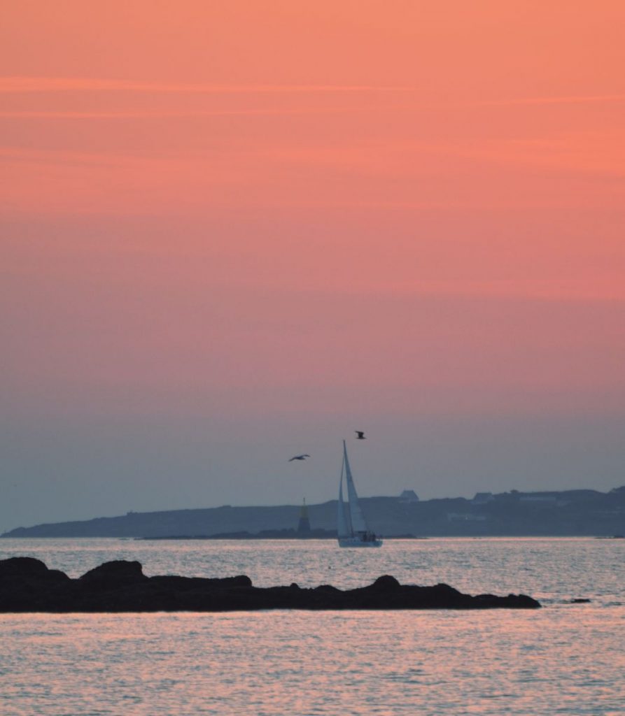 voilier oiseaux coucher du soleil avril 2017